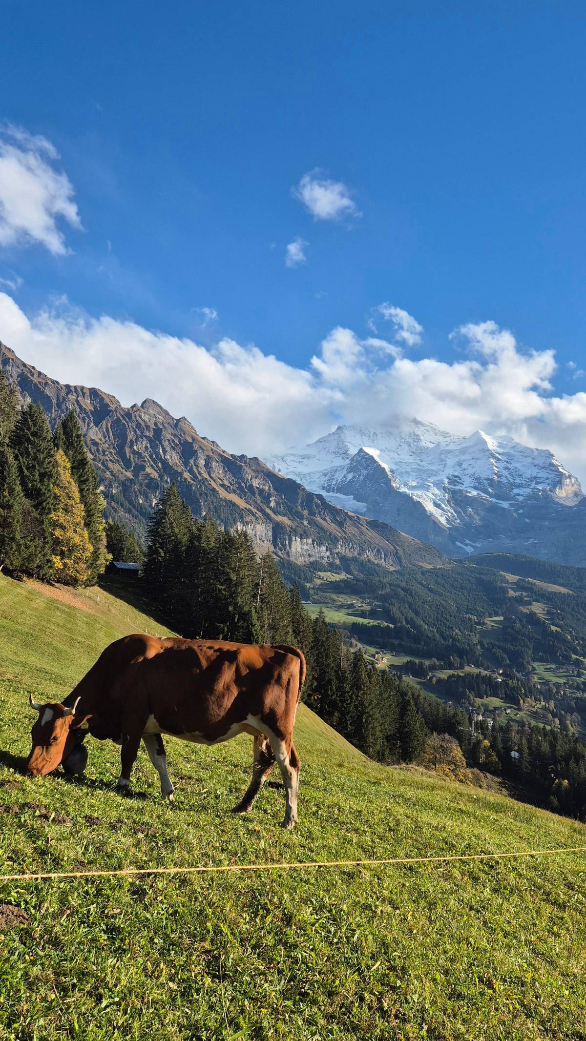 Guided hike Grütschalp to Mürren with Trümmelbach Falls