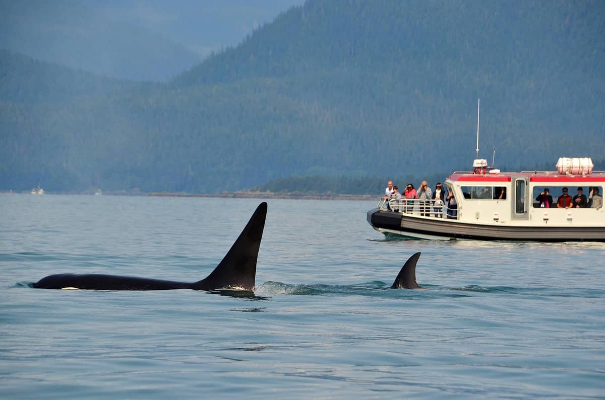 9-Day Alaska Cruise with FlyOver Canada