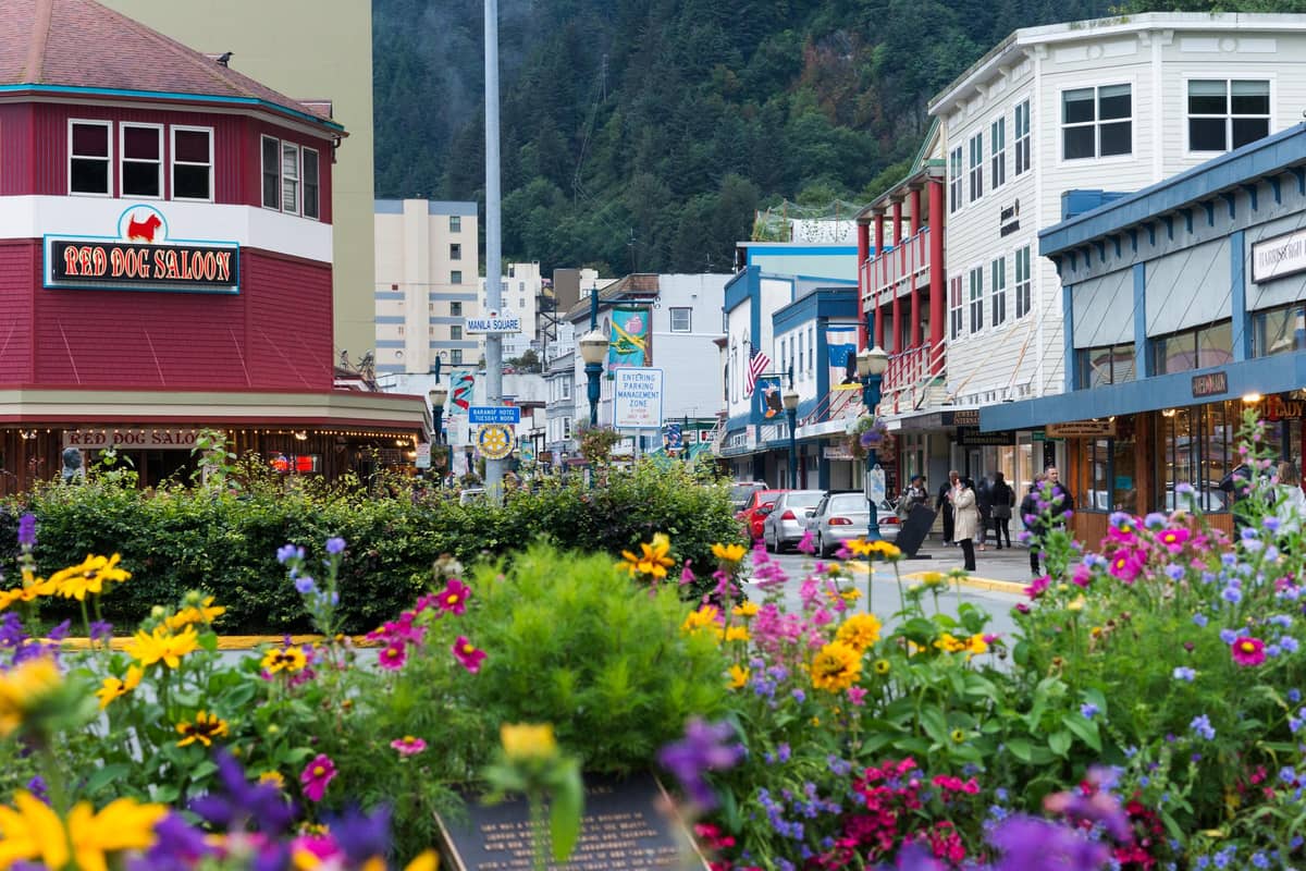 Flower baskets along Franklin Street