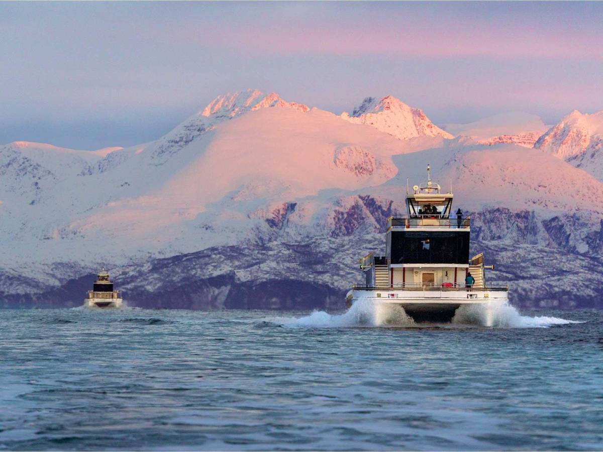 Tromsø: Whale watching in a hybrid-electric boat