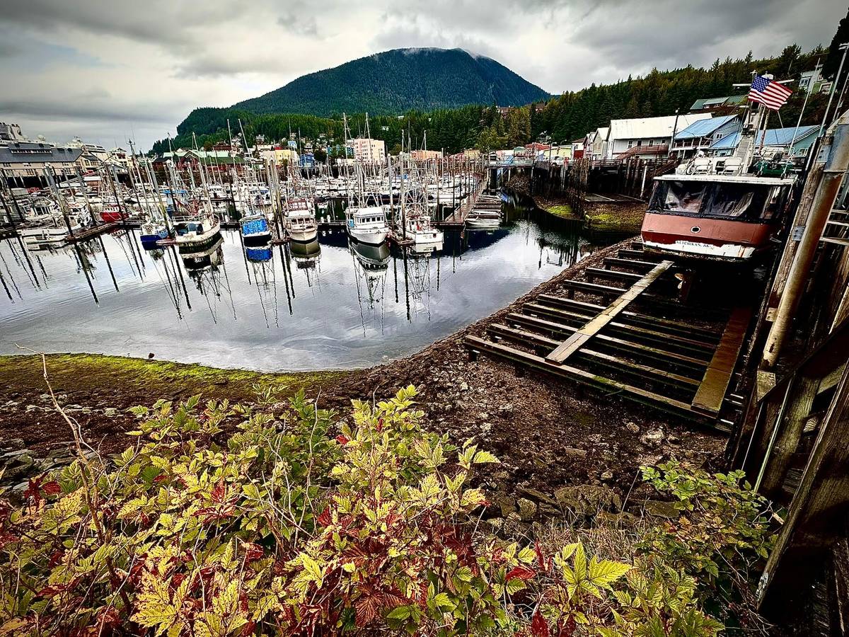 Ketchikan duck tour photos: the best views from the duck