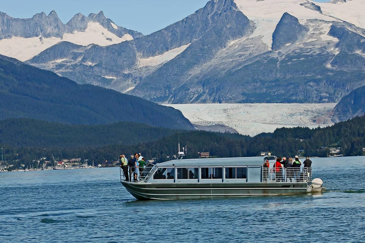 Juneau: Whale watching cruise with snacks