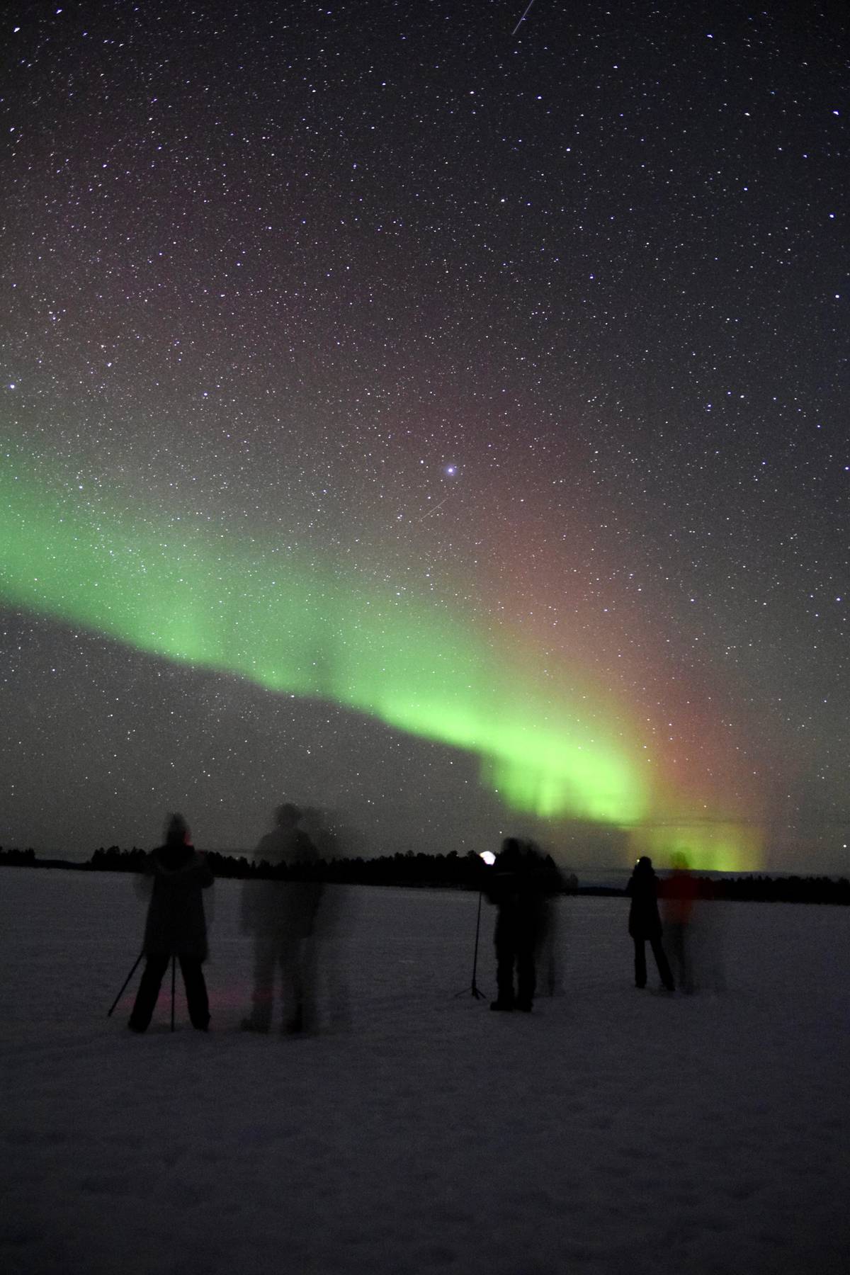 Guests with tripods photographing the aurora
