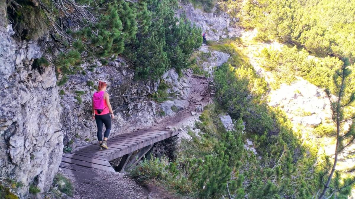 From Venice: Dolomites, Lake Sorapis hike with Alpine Guide