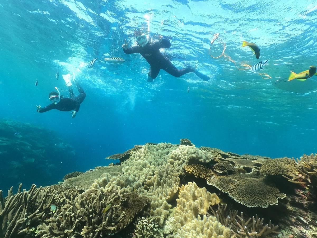 Okinawa: Boat Snorkeling at Minna, Sesoko or Motobu