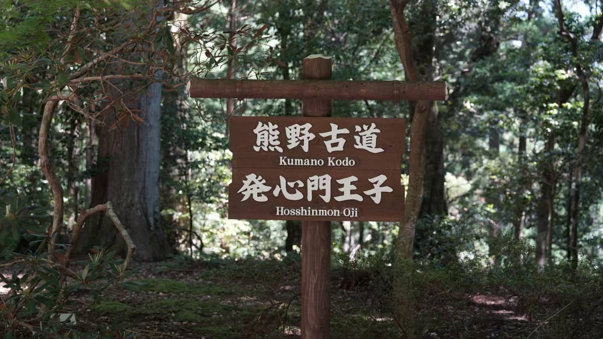 Kumano Kodo 2-Day Hike: Nachi Shrine & Dual Pilgrim Trails