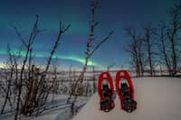 Abisko: Aurora Snowshoeing