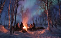 Abisko: Aurora Night & Swedish Glogg - Snowshoe Experience