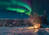 Kiruna: Northern Lights Hunt with Moose Sausage BBQ
