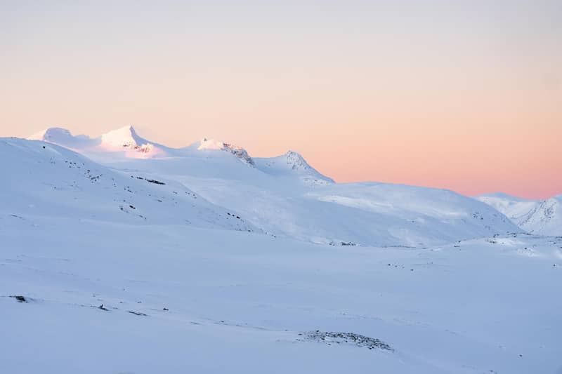 Abisko: Guided Arctic Snowshoe Hike with Photos & Snacks — photo 4
