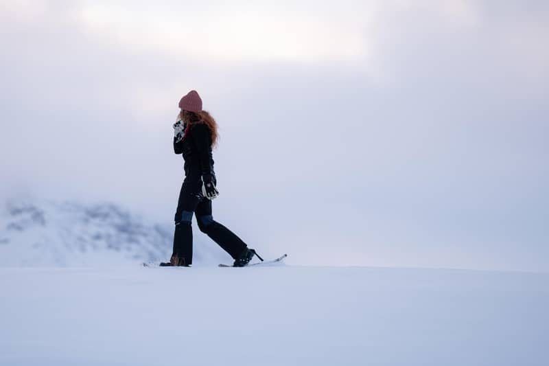 Abisko: Guided Arctic Snowshoe Hike with Photos & Snacks