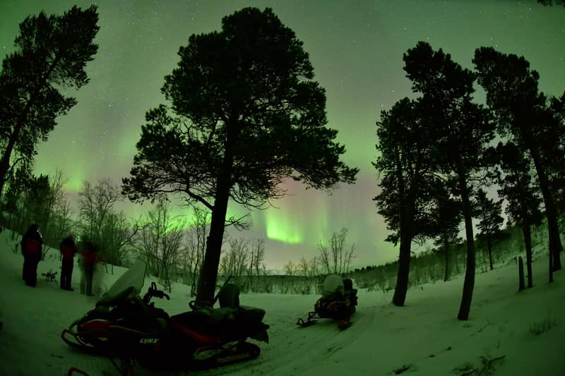 Abisko: Aurora Chasing with Snowmobiles — photo 3