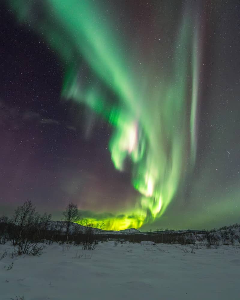 Abisko: Aurora Car Chasing Tour with Photographer — photo 5