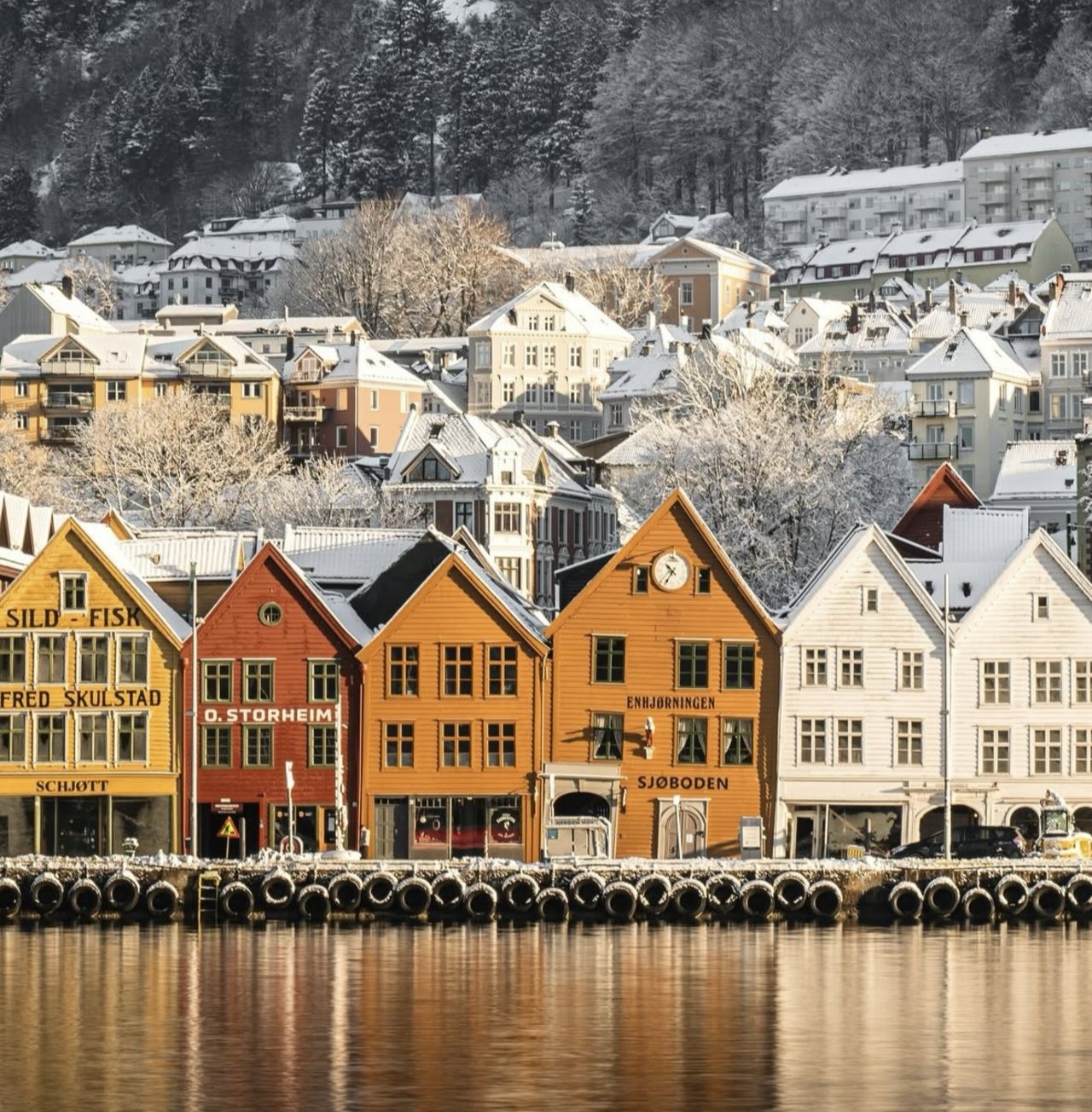 The BEST Things to Do in Bergen - Top Activities in 2026