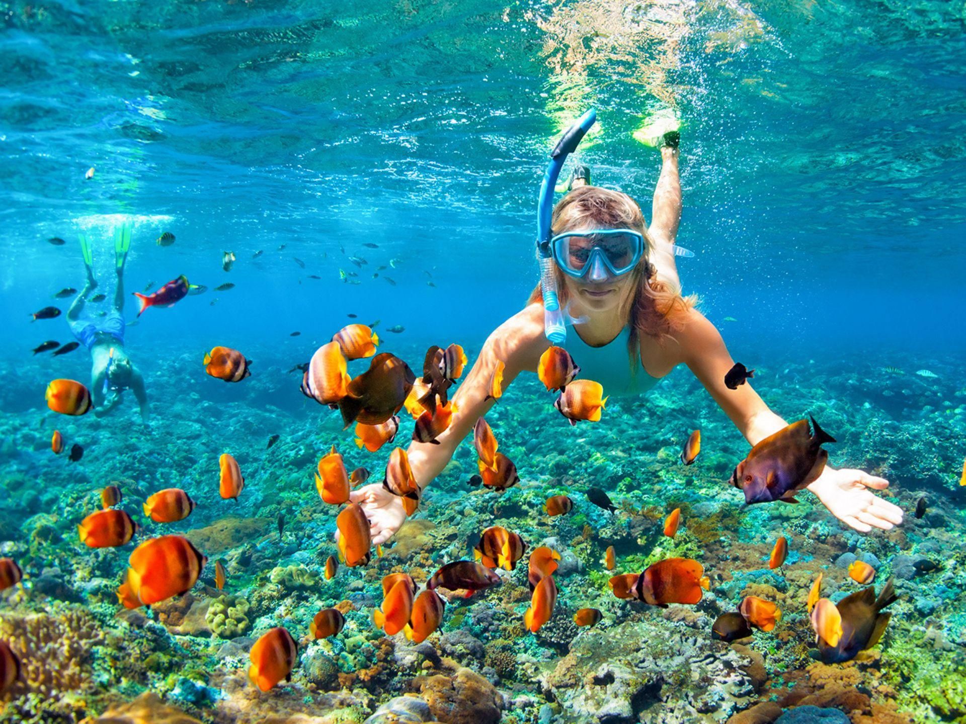 The BEST Things to Do in Khao Lak - Top Activities in 2026 | GetYourGuide