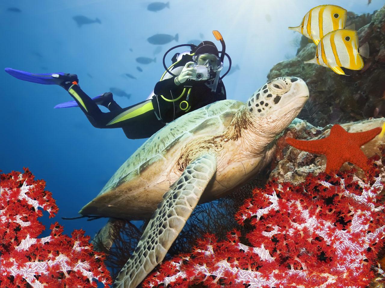 The BEST Things to Do in Key Largo - Top Activities in 2026