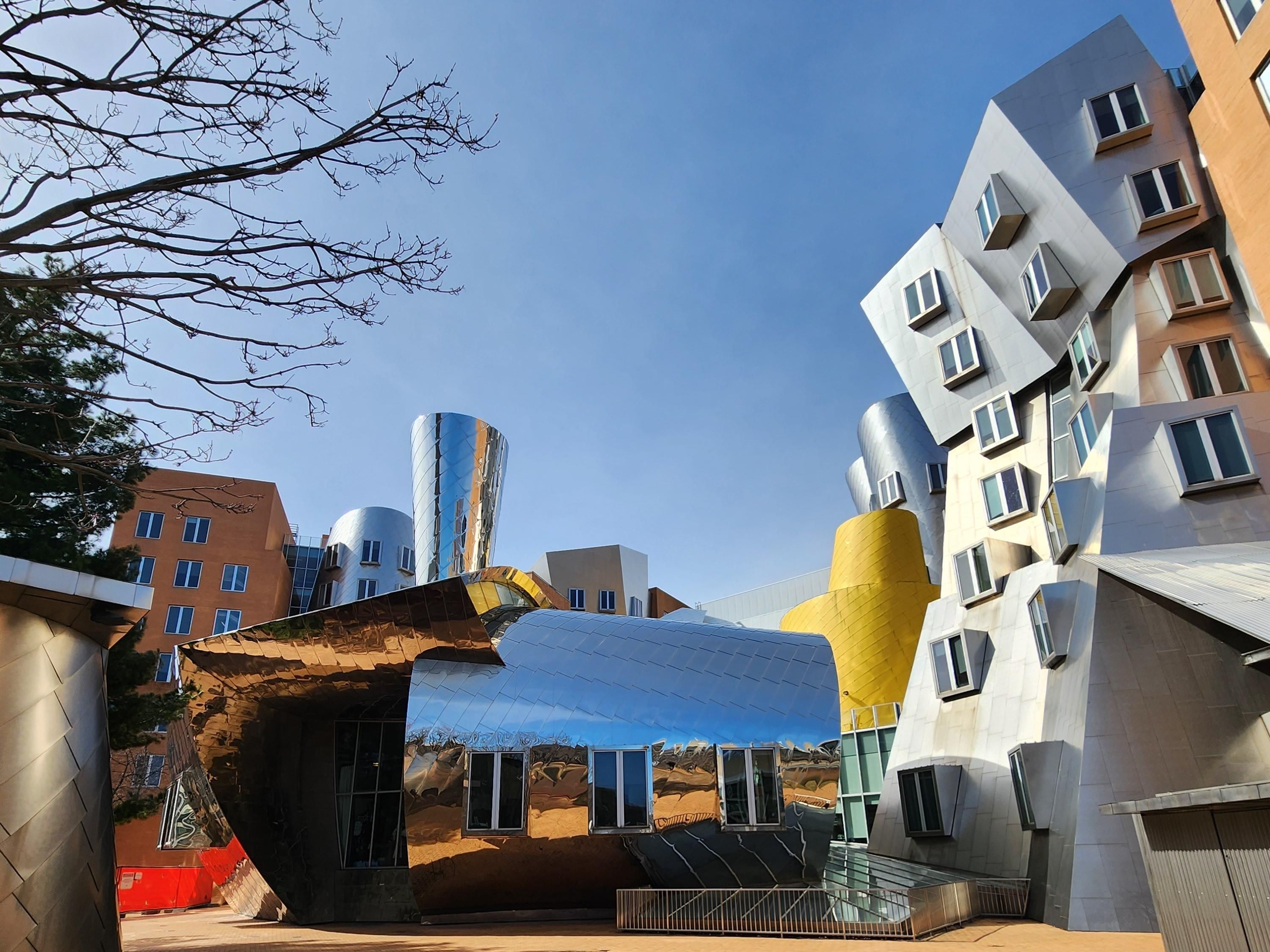 The BEST Things to Do in Cambridge, Massachusetts - GetYourGuide