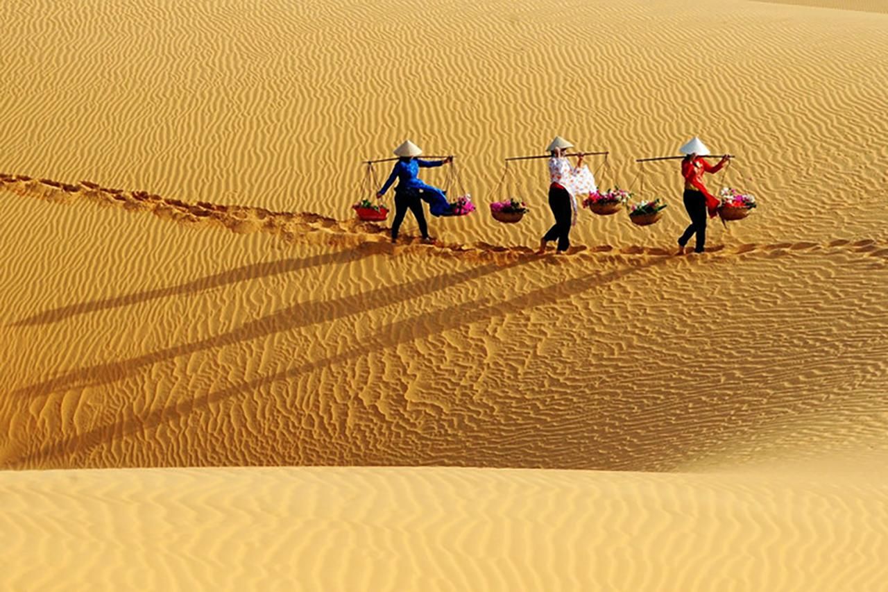 The BEST Things to Do in Phan Thiet - Top Activities in 2026 | GetYourGuide