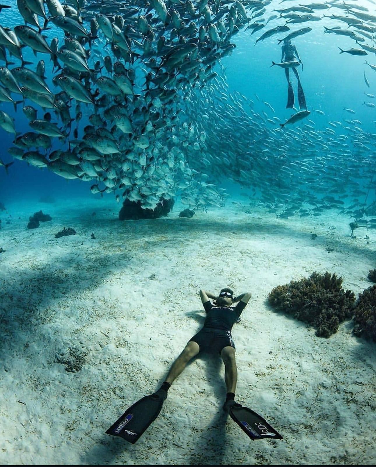 The BEST Things to Do in Panglao - Top Activities in 2026 | GetYourGuide The BEST Things to Do in Panglao - Top Activities in 2026 | GetYourGuide