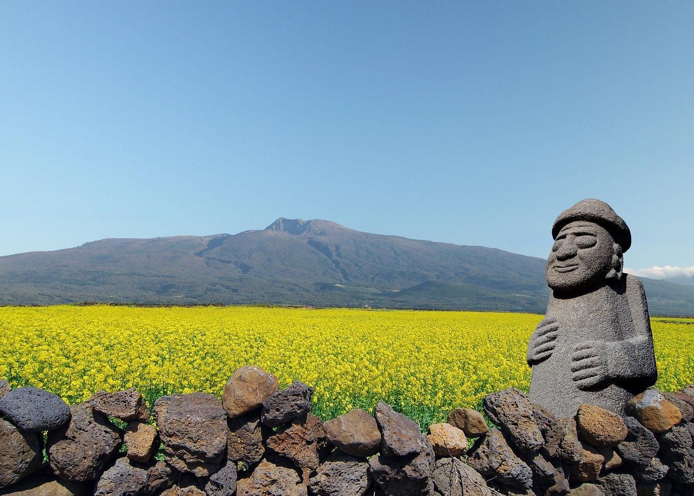 The BEST Things to Do in Jeju-si - Top Activities in 2026
