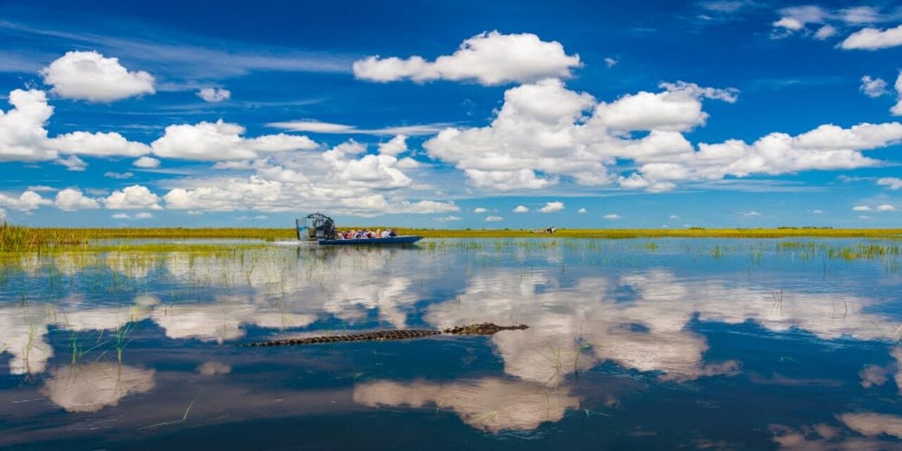 The BEST Things to Do in Everglades City - Top Activities in 2026