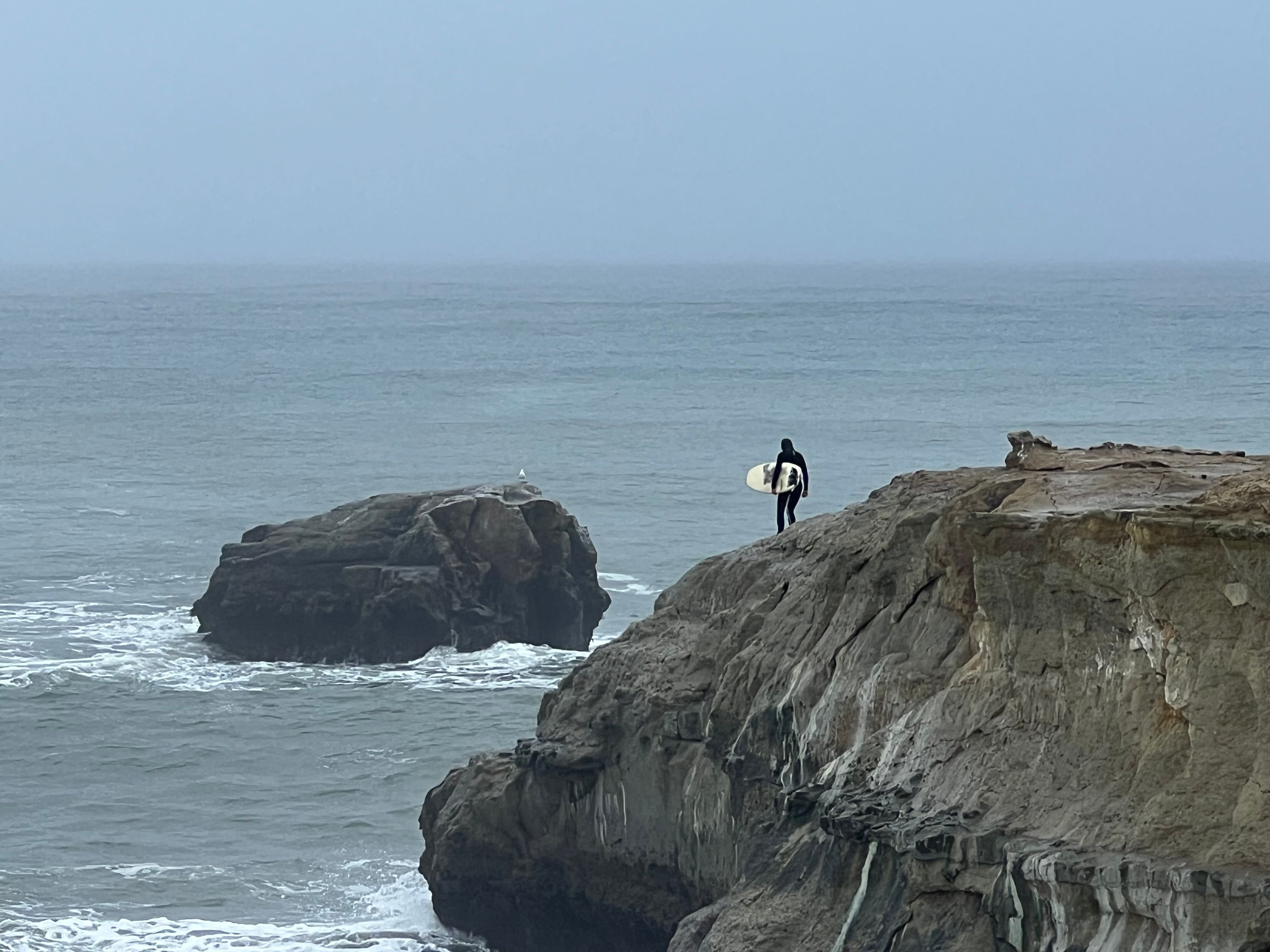 The BEST Things to Do in Santa Cruz, California - GetYourGuide