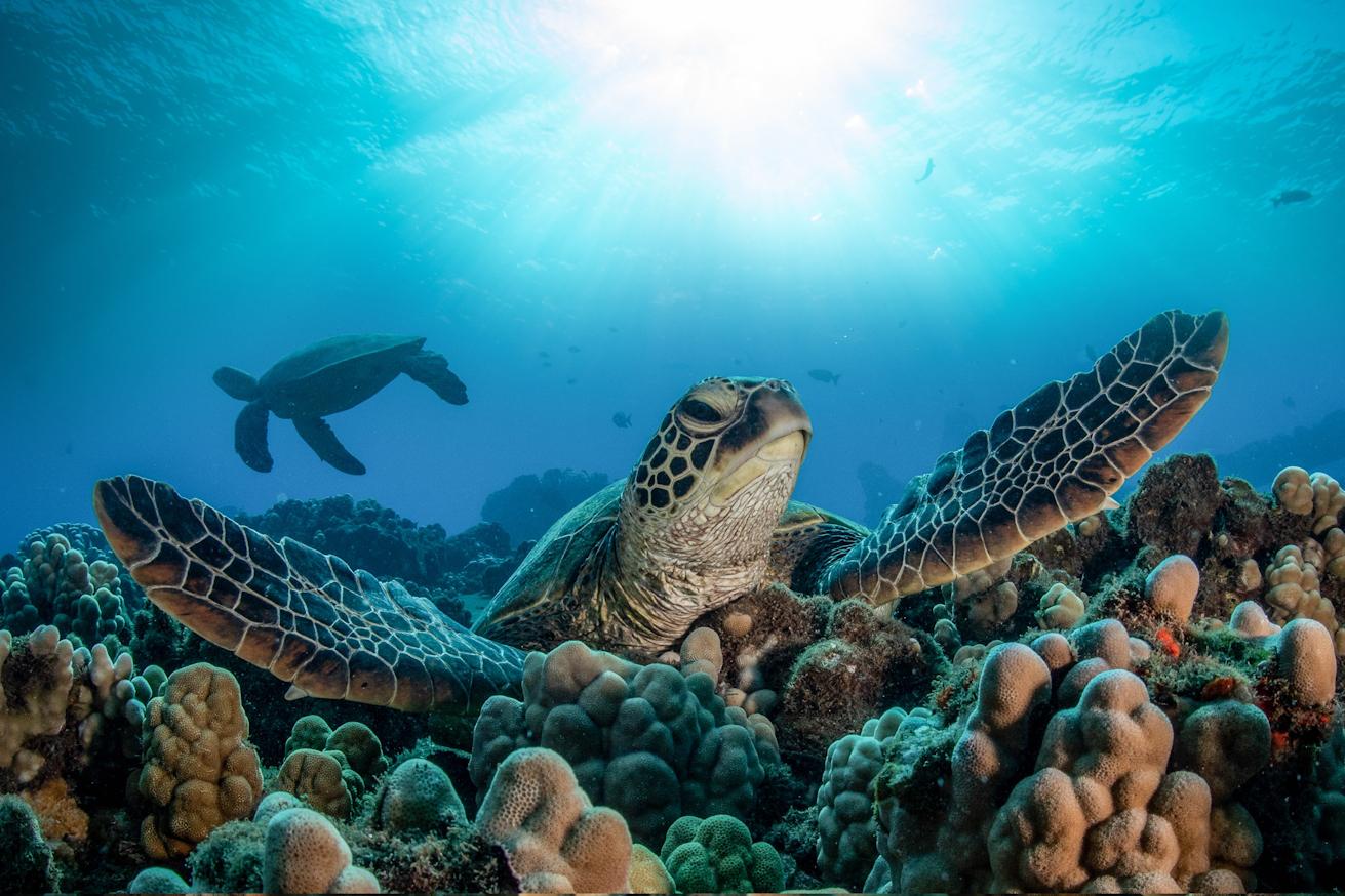 The BEST Things to Do in Hawaii - Top Activities in 2026