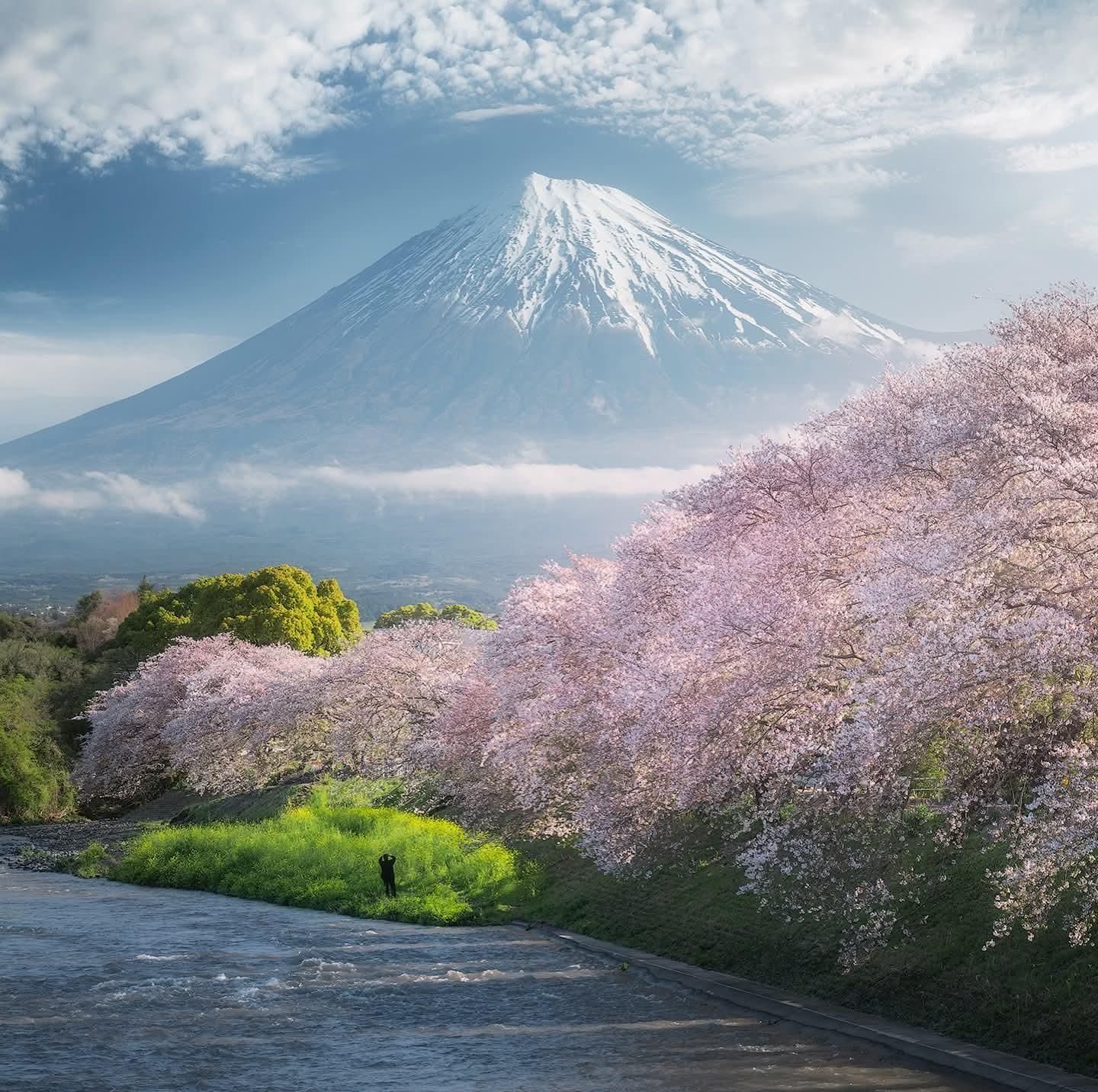 The BEST Things to Do in Shizuoka - Top Activities in 2026