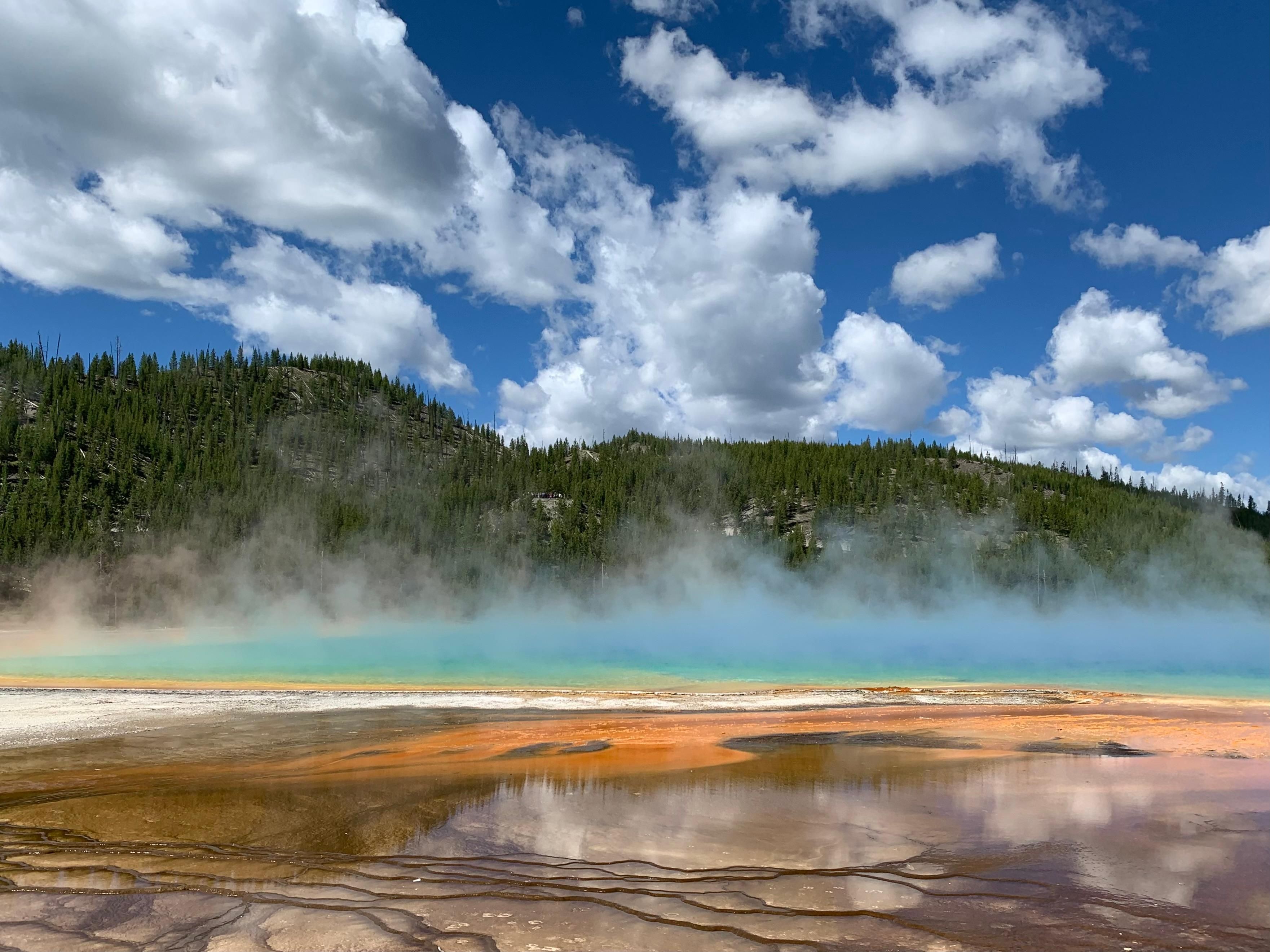 The BEST Things to Do in Yellowstone National Park - GetYourGuide