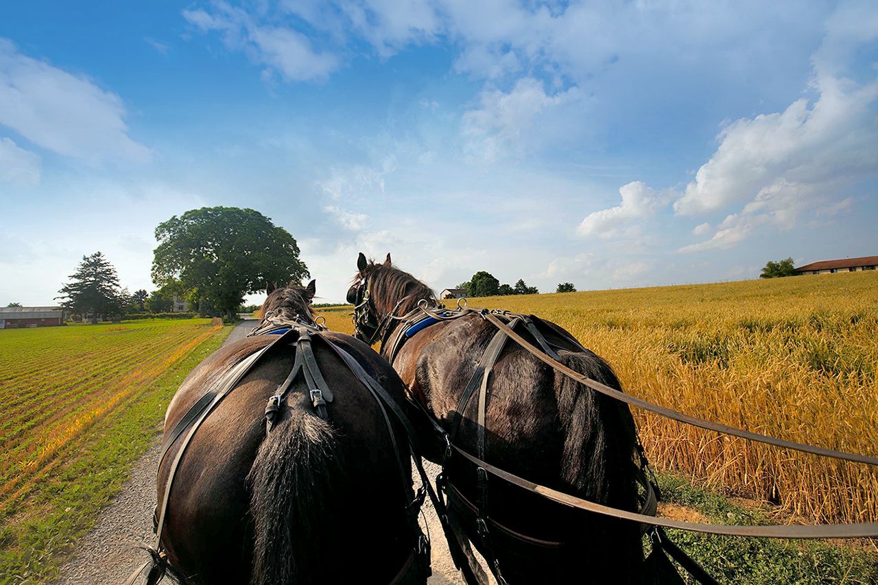 The BEST Things to Do in Lancaster, Pennsylvania - GetYourGuide