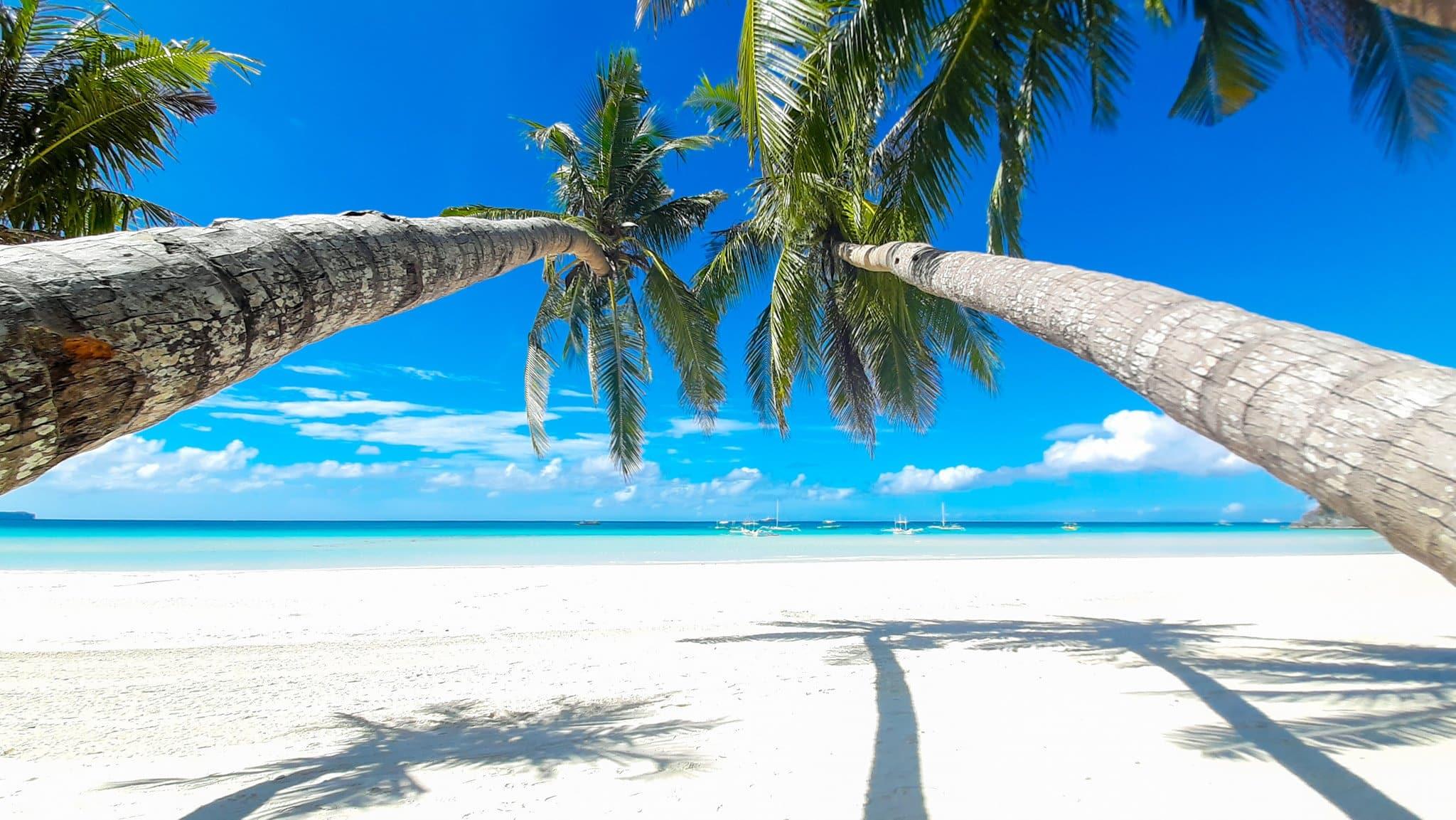 The BEST Things to Do in Boracay - Top Activities in 2026 | GetYourGuide The BEST Things to Do in Boracay - Top Activities in 2026 | GetYourGuide
