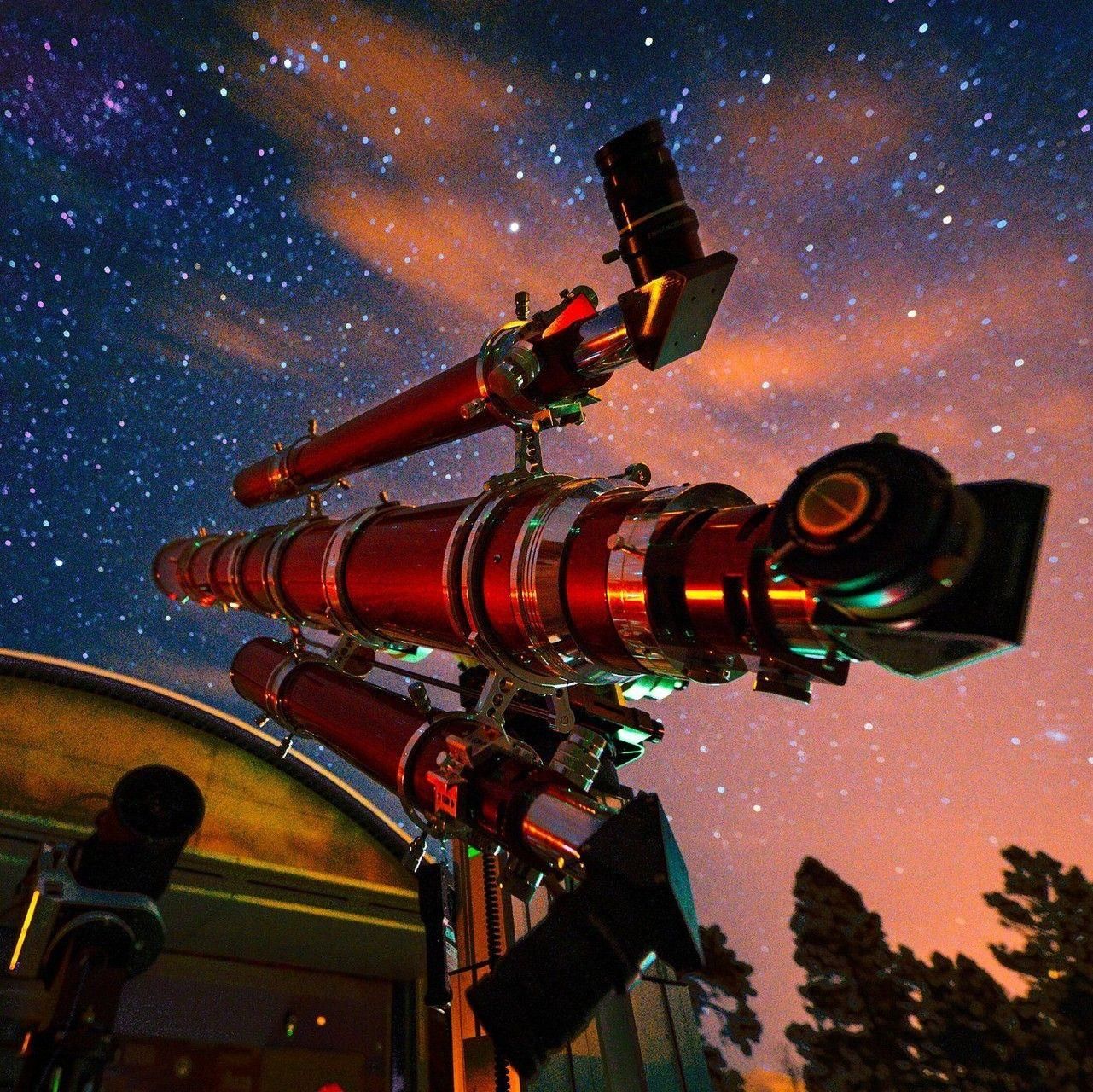 The BEST Things to Do in Flagstaff - GetYourGuide
