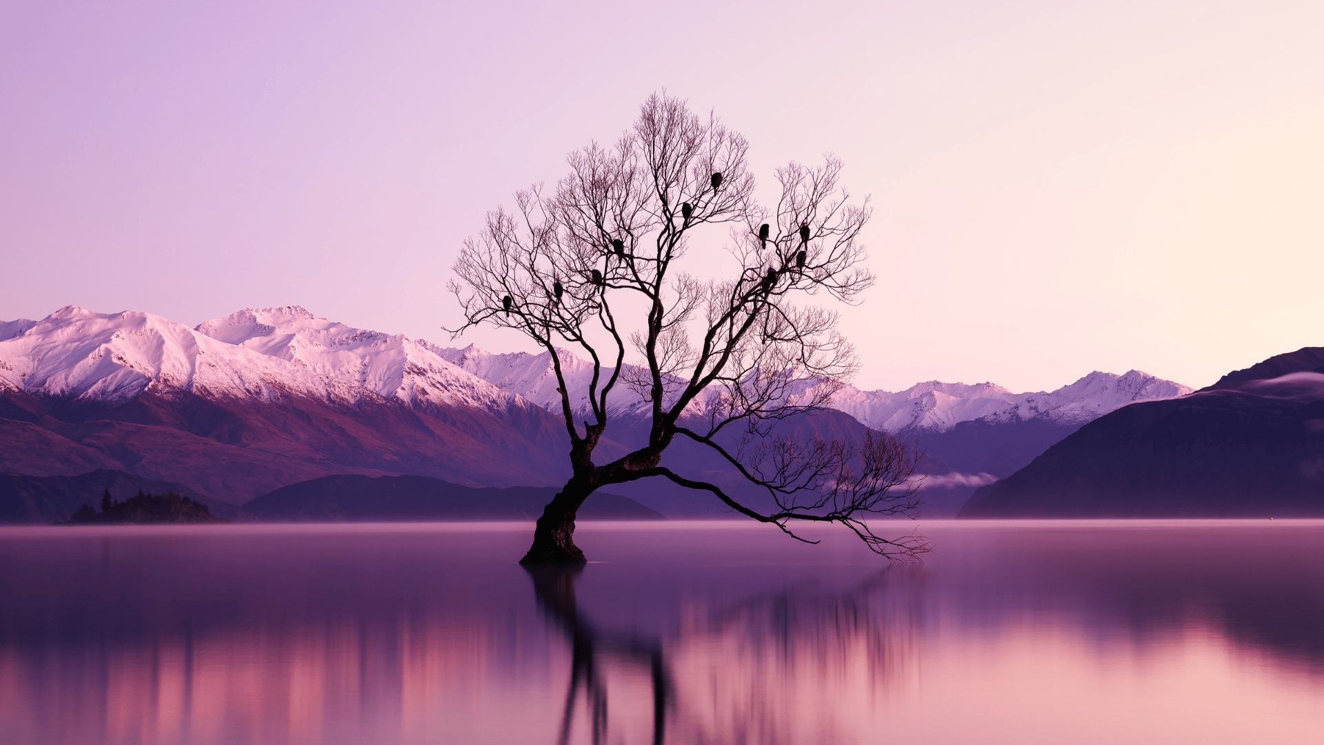 The BEST Things to Do in Wanaka - Top Activities in 2026 | GetYourGuide
