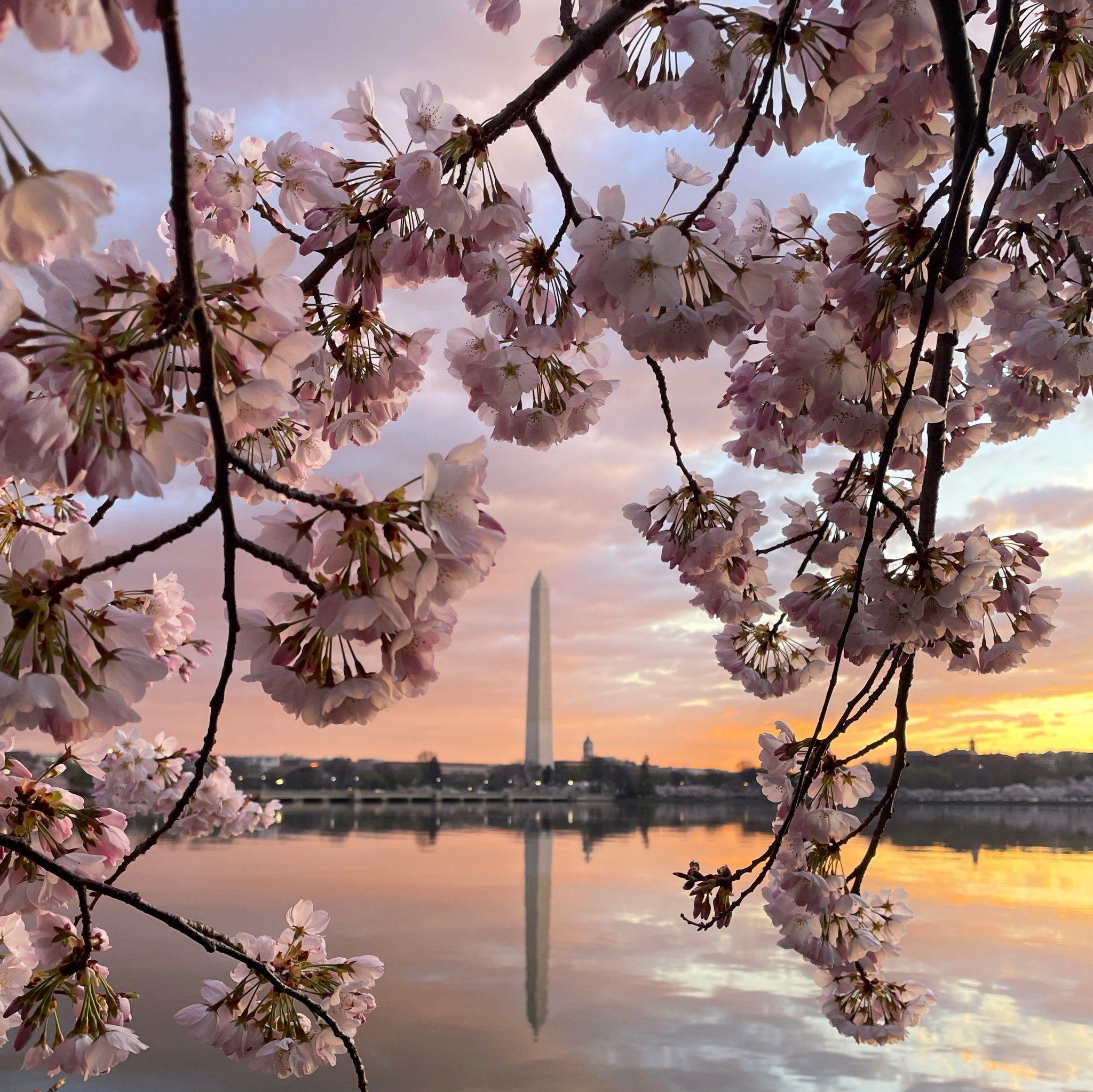 The BEST Things to Do in Washington, DC - GetYourGuide