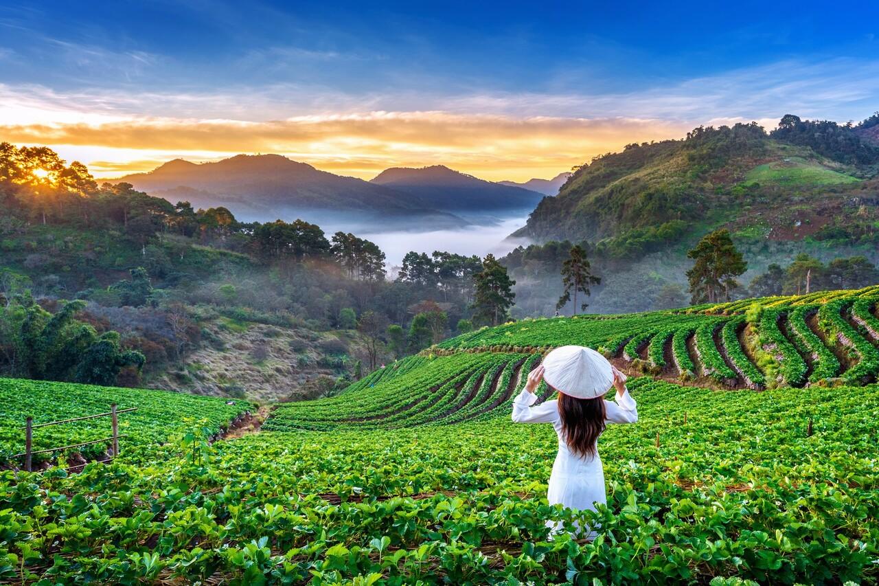 The BEST Things to Do in Dalat - Top Activities in 2026 | GetYourGuide