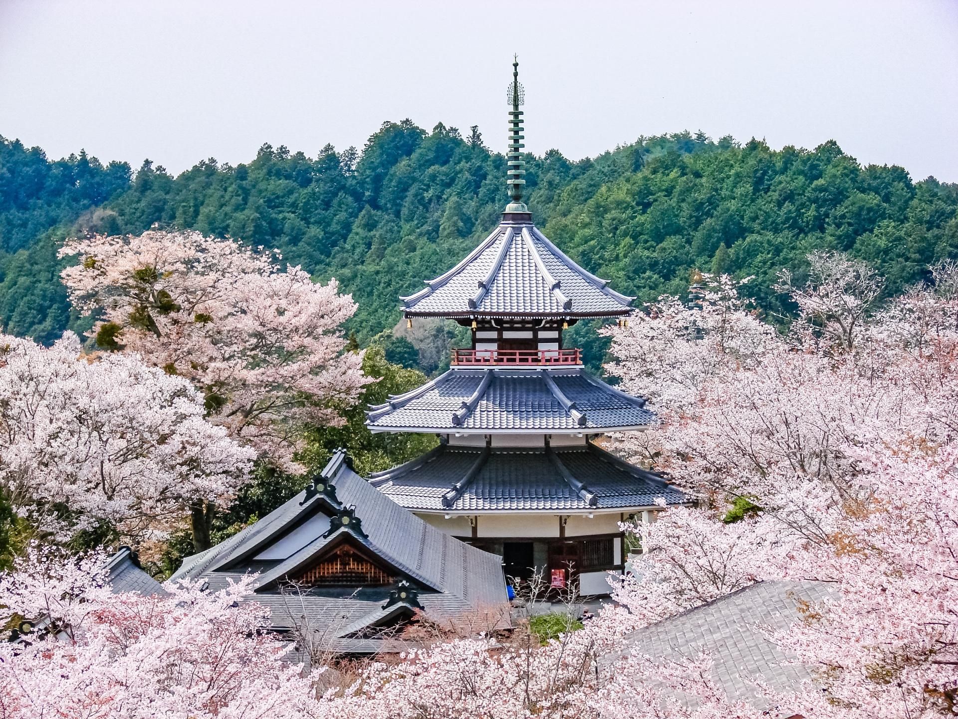The BEST Things to Do in Yoshino - Top Activities in 2026