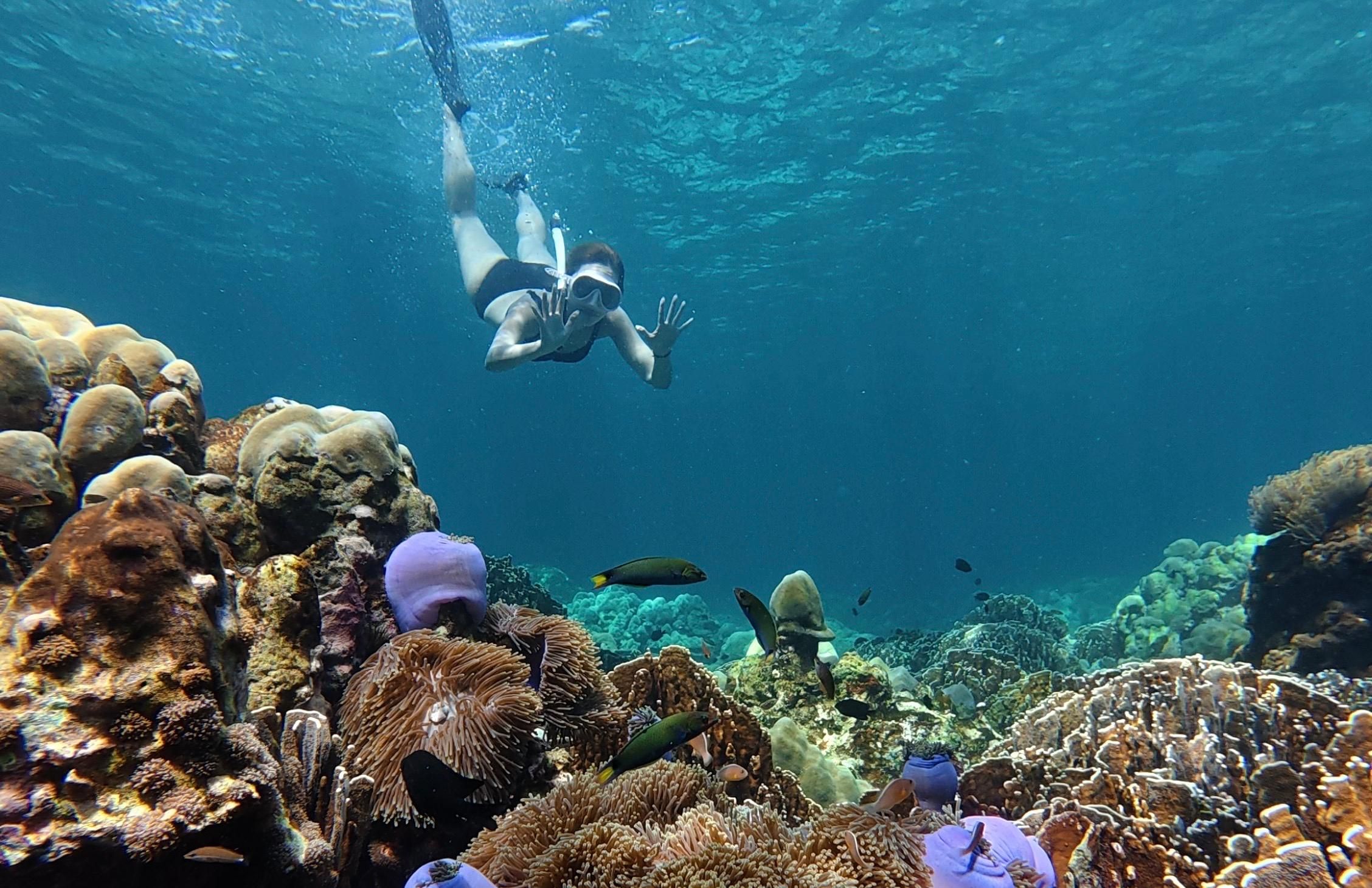 The BEST Things to Do in Ko Lipe - Top Activities in 2026 | GetYourGuide