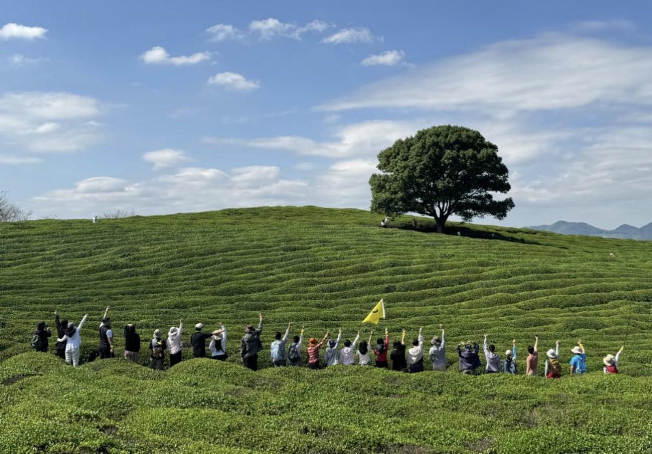 Shanghai: Tea Hills, Poetry Trail & Lonely Tree Day Trip 3