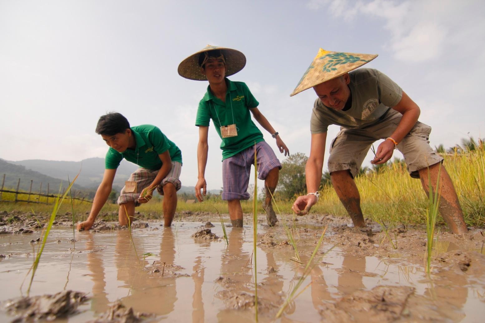 Luang Prabang: Living Land Farm Hands-On Rice-Farming Tour 3
