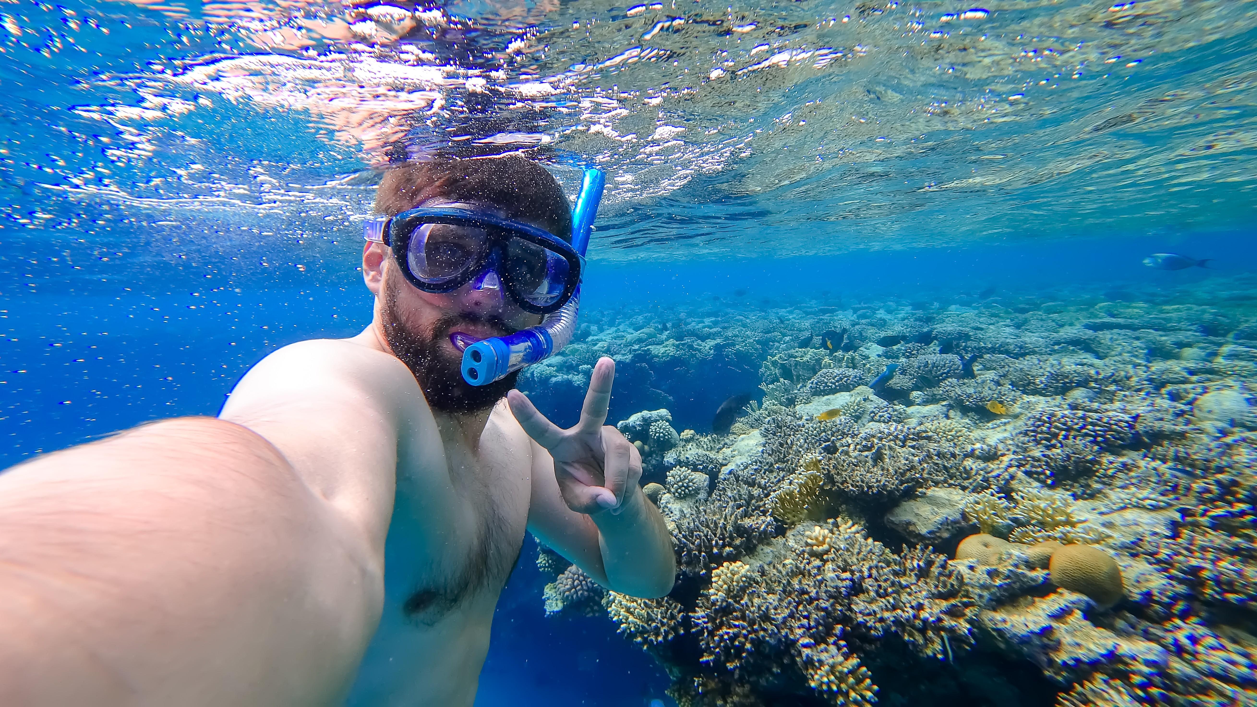 Jeddah: Red Sea Coral Reef Snorkeling from the Beach 3