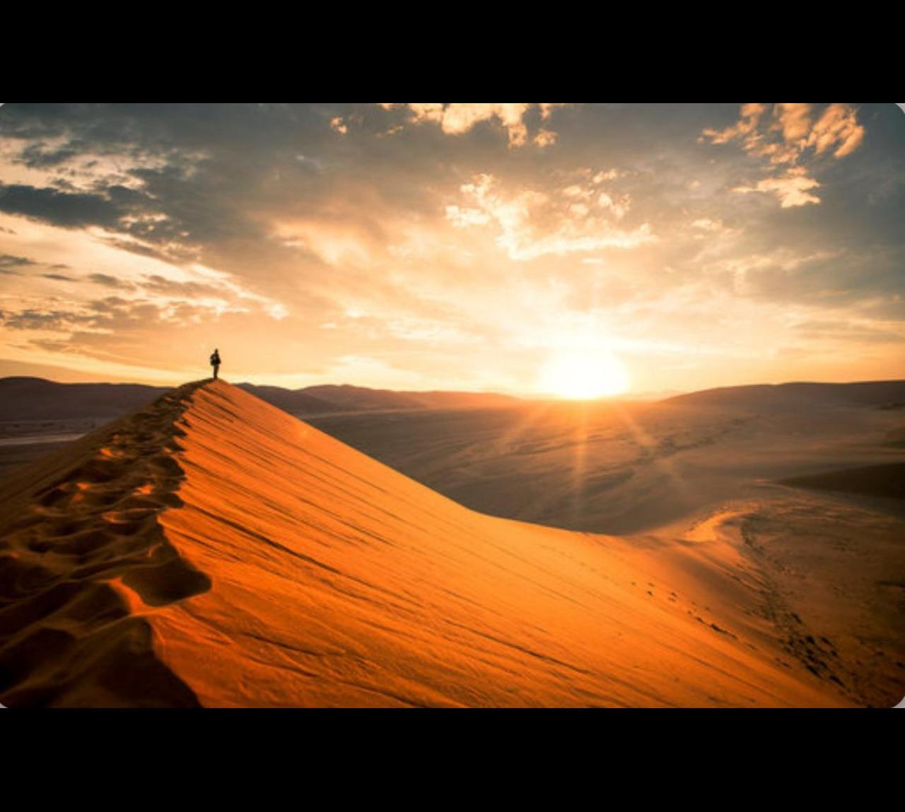 Qatar Sunrise, Sunset Desert Safari Tour With All Activities 2