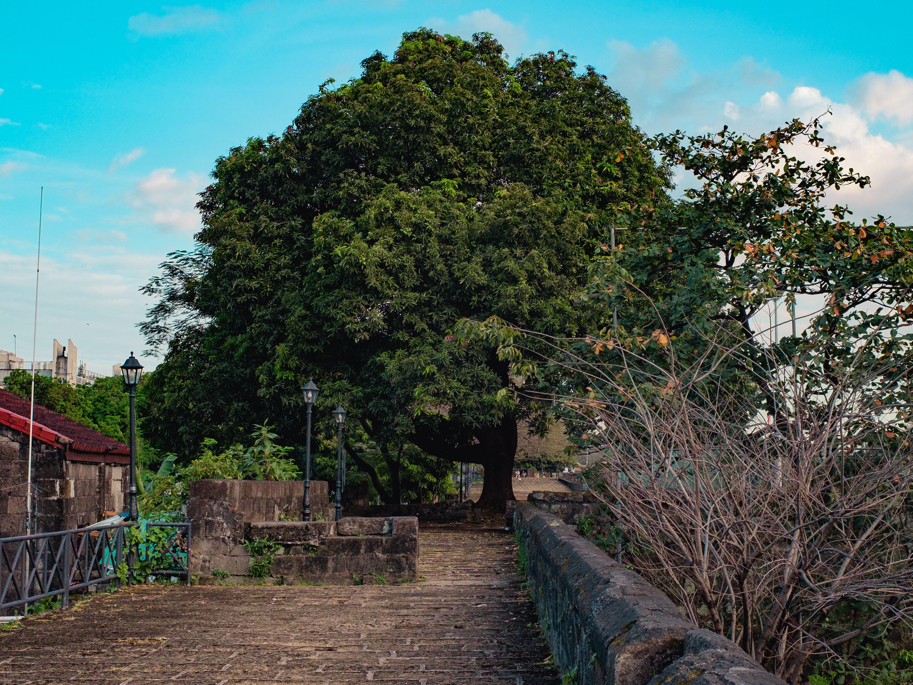Manila: Private Historical Tour with Hotel Pickup & Drop-off 2