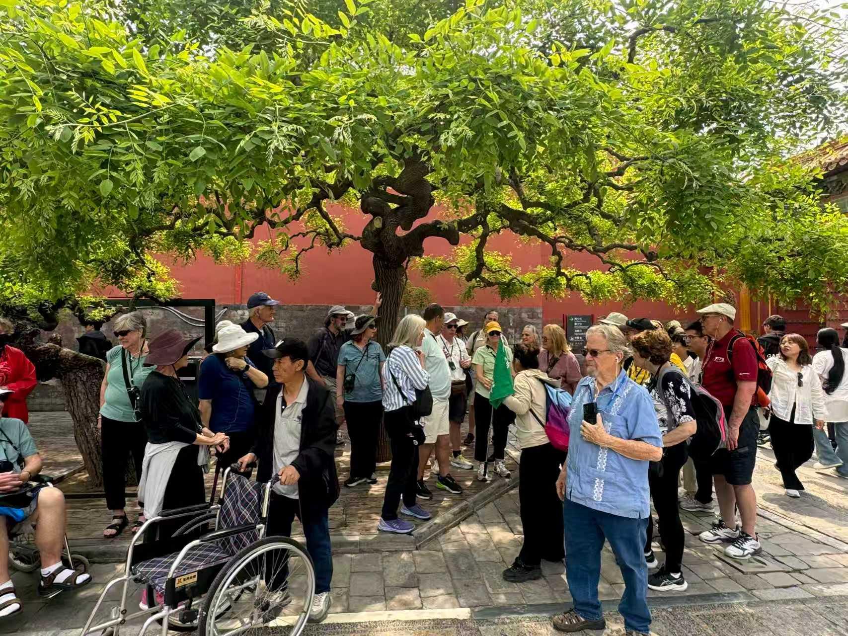 Forbidden City, Great Wall & Temple of Heaven—Full Day Tour 3