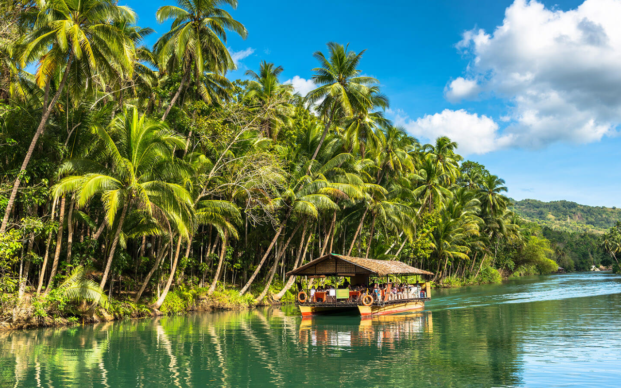 Bohol Day Tour From Cebu City or Mactan (Private Tour)