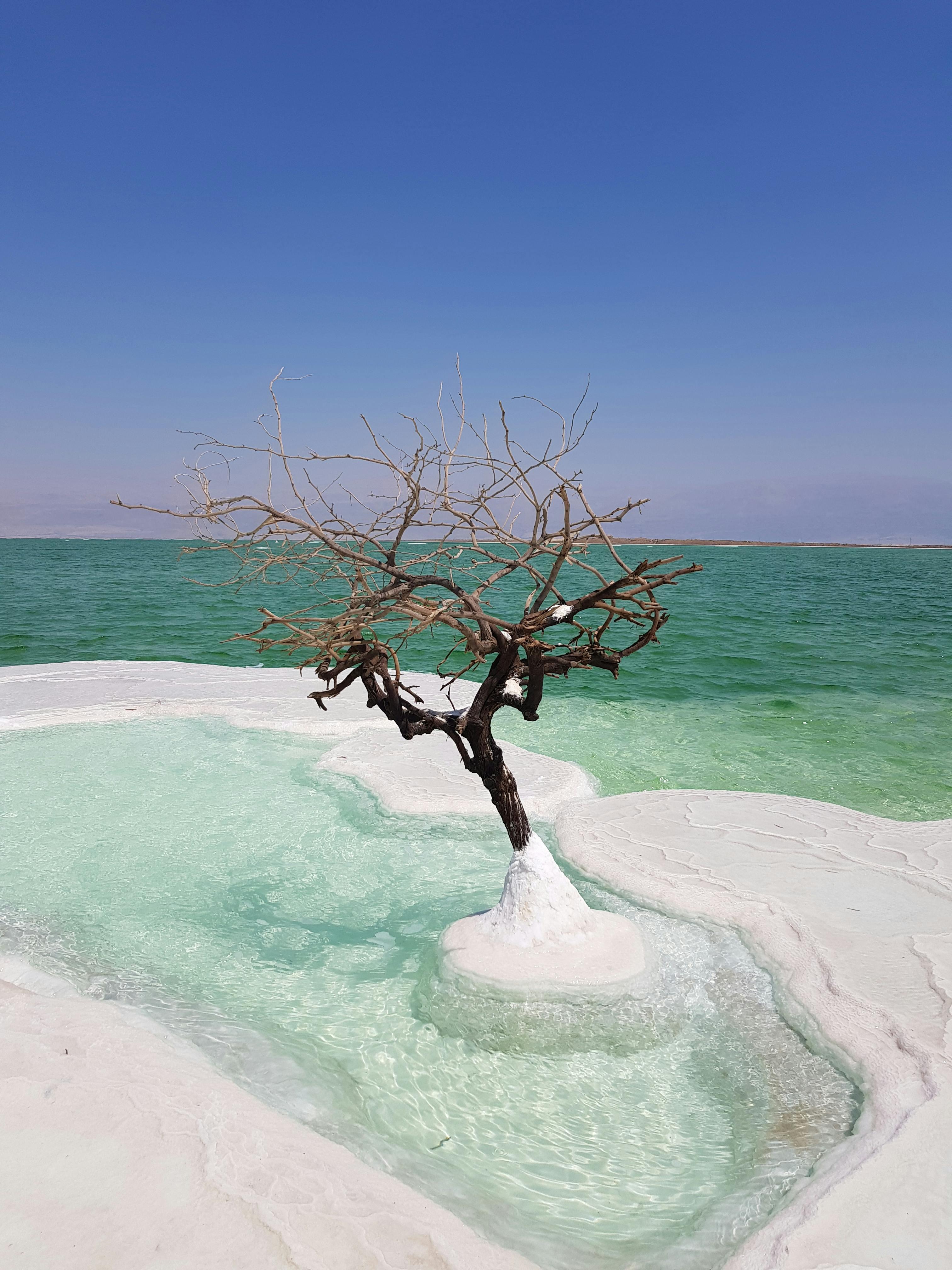From Amman-Dead Sea, Mount Nebo, Madaba, & Baptism Day Trip 2