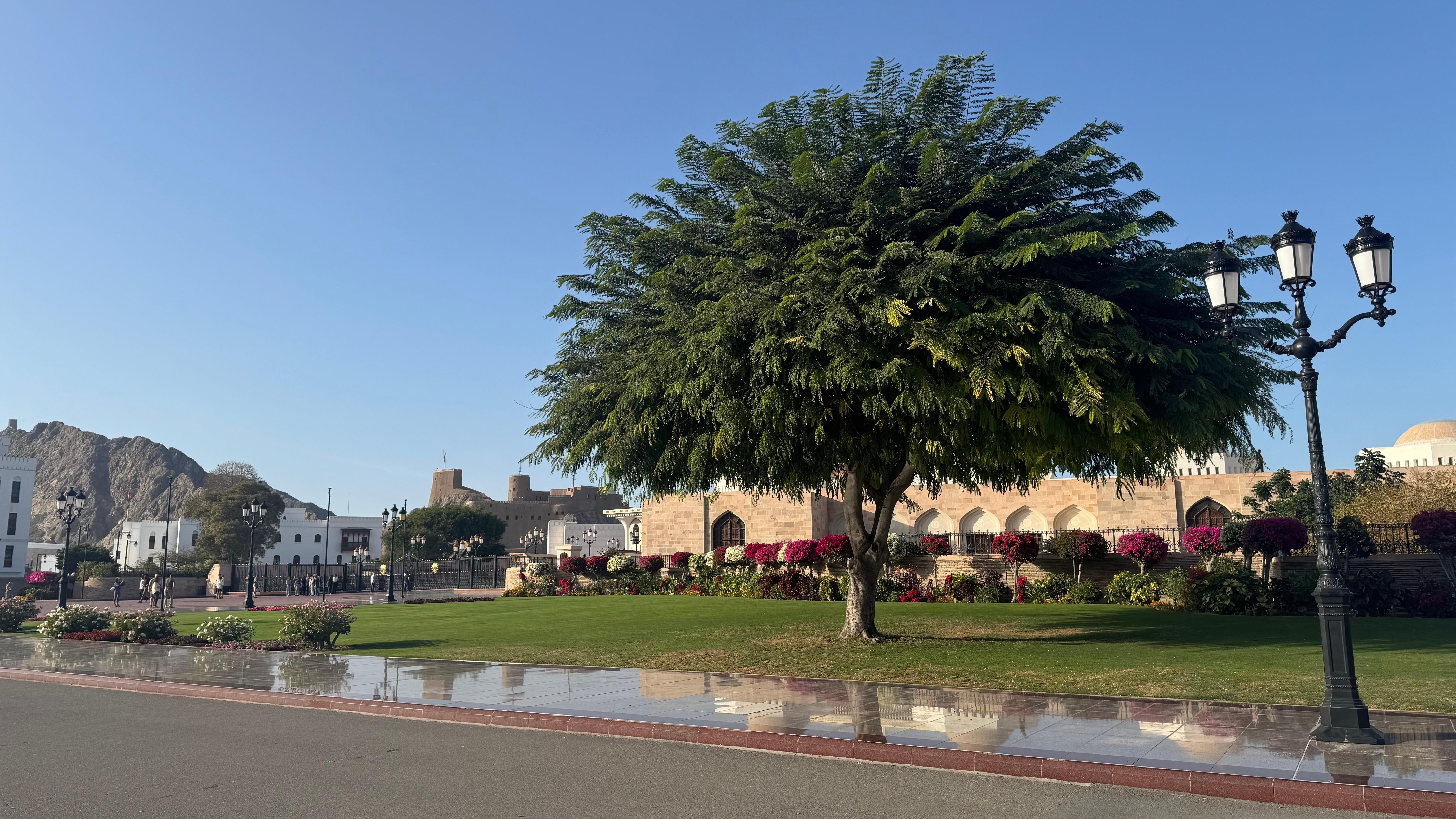 Muscat at Night – Opera, Souq & History in German