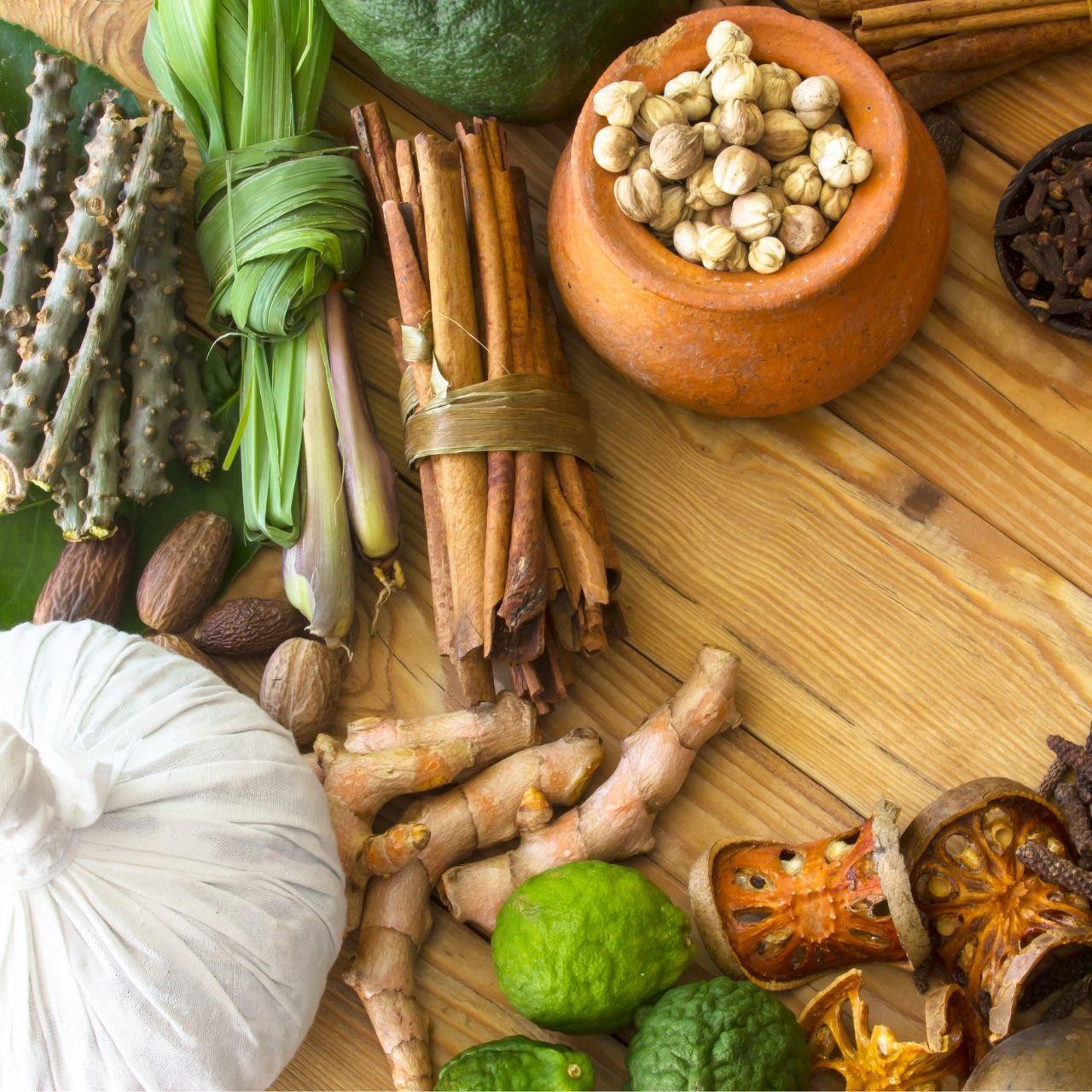 Delhi: Ayurveda, Culture, and Culinary Day Tour 3