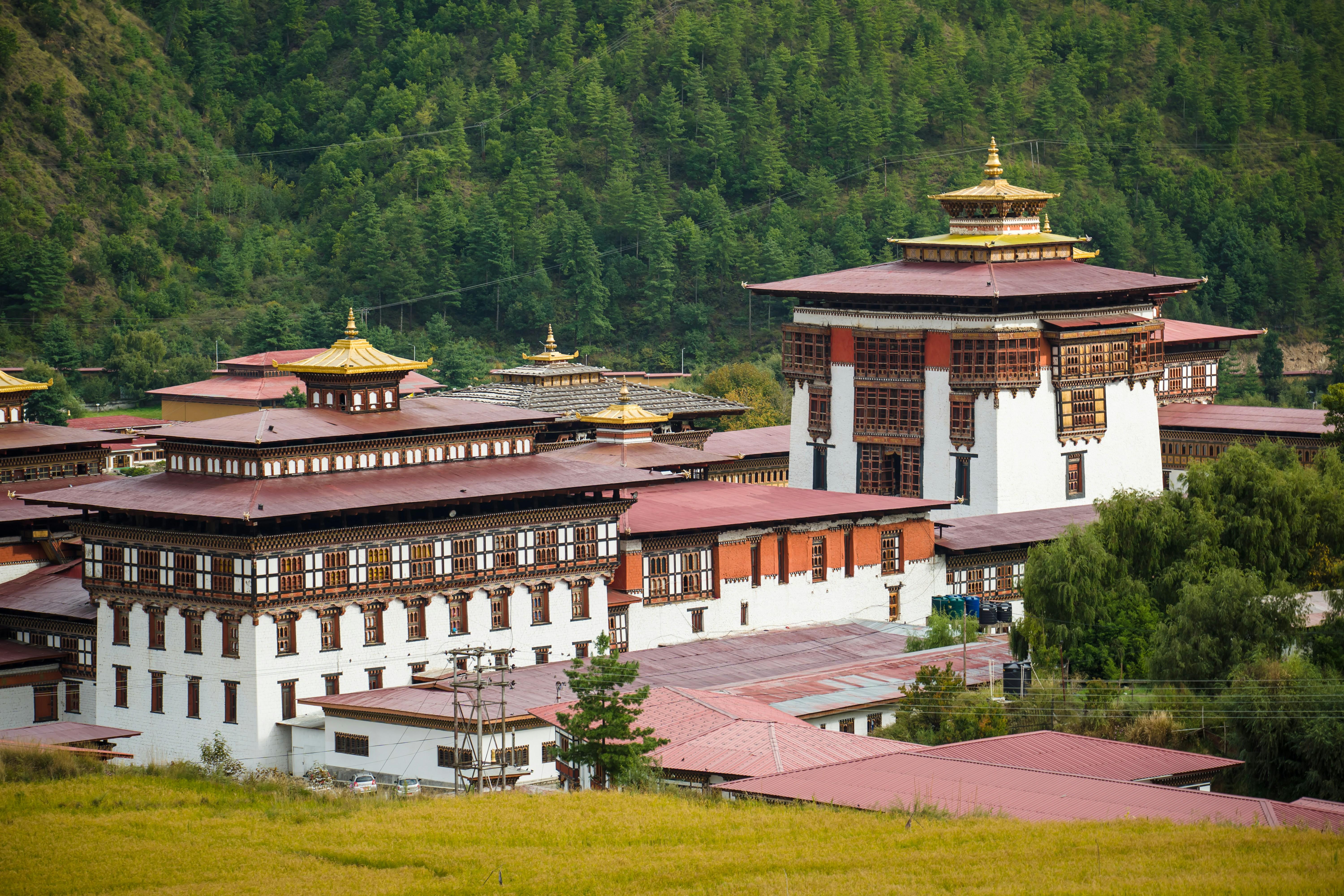 From Paro/Thimpu :- National Museum, Dzong, and Temple Tour 2