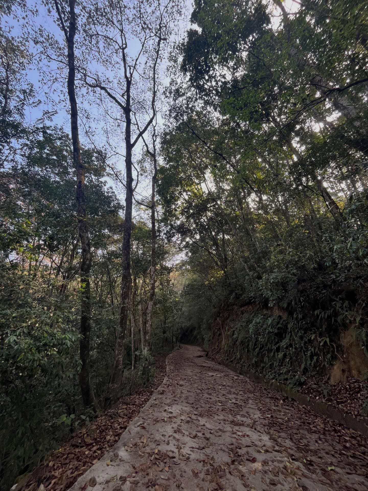 From Kathmandu: Shivapuri Nagarjun–Bagdwar Guided Hike 3