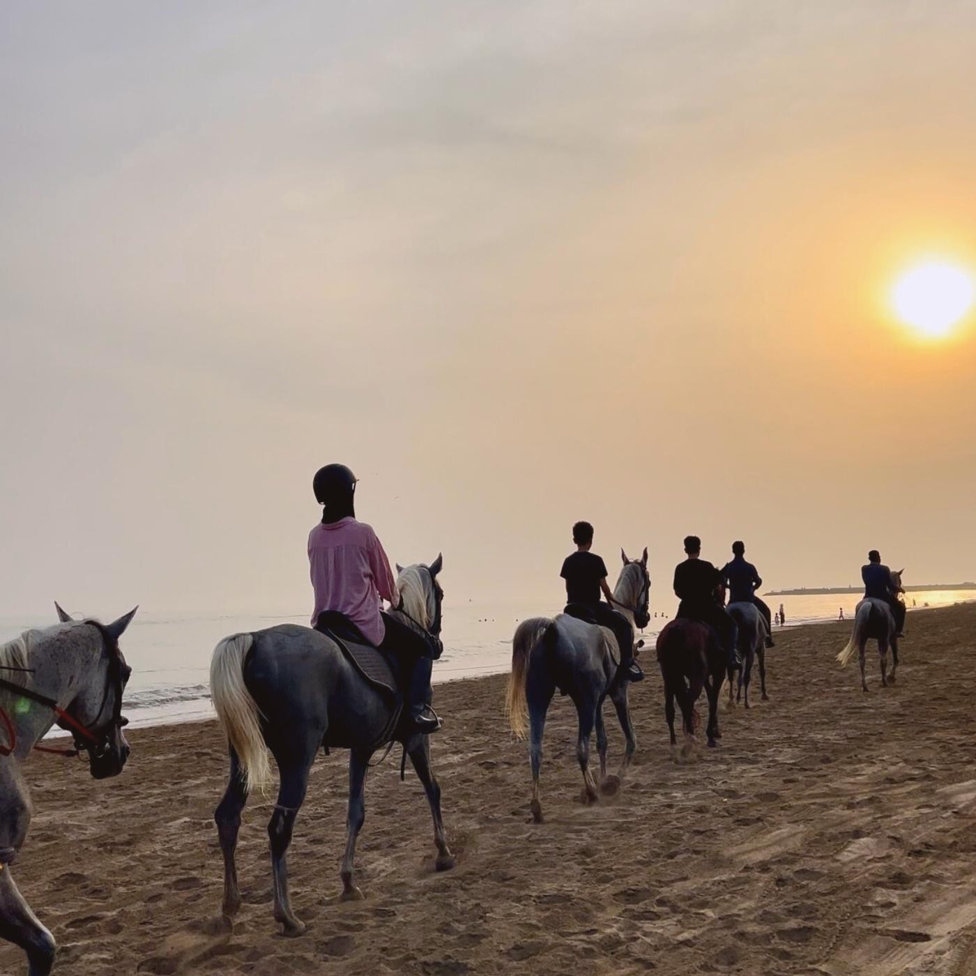 Muscat: Arabian Horse Riding on the Beach 2
